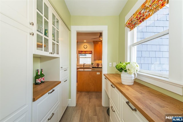 interior space featuring a sink, plenty of natural light, wood finished floors, and ceiling fan