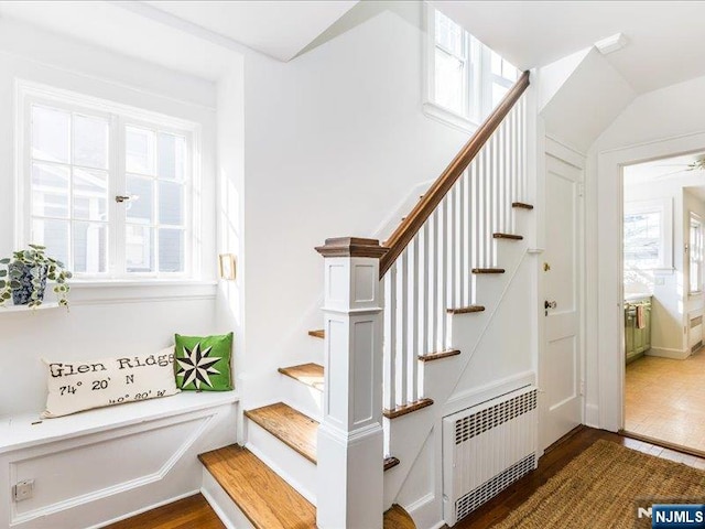 staircase featuring a wealth of natural light, radiator, and wood finished floors