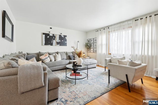 living area featuring wood finished floors