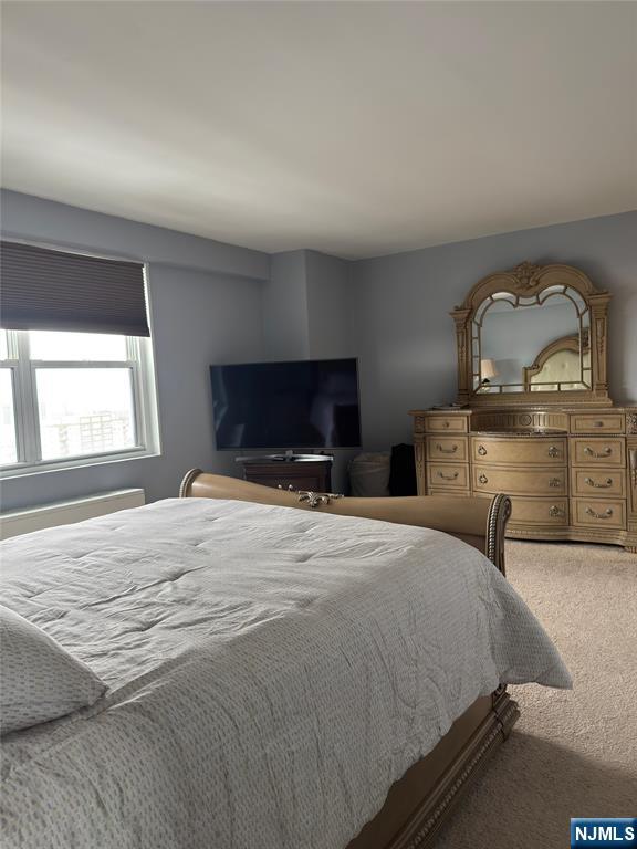 2077 Center Ave Unit 20F, Fort Lee, NJ 07024 - view of carpeted bedroom