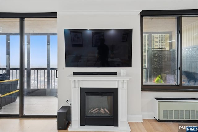 living area with a glass covered fireplace, wood finished floors, a healthy amount of sunlight, and ornamental molding