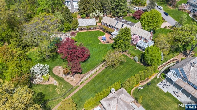 bird's eye view