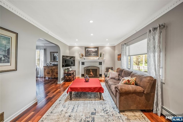 living room featuring a healthy amount of sunlight, baseboard heating, and wood finished floors