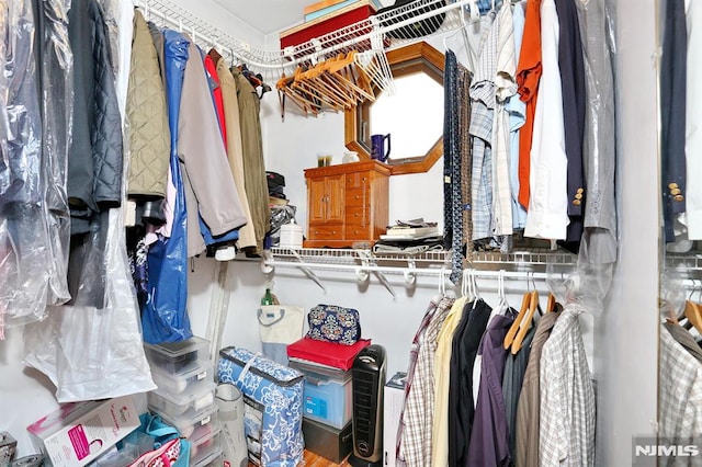 view of spacious closet