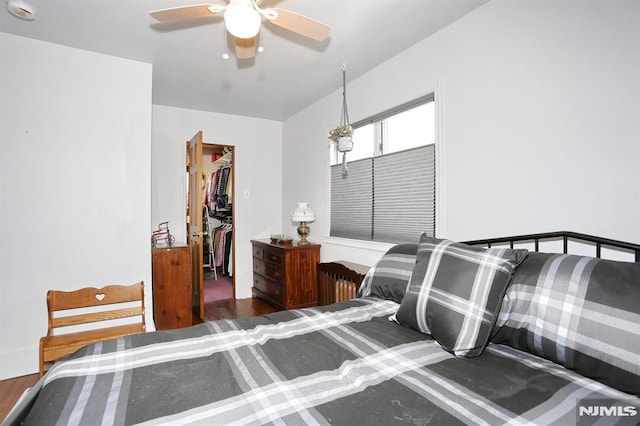 bedroom with a walk in closet, wood finished floors, a closet, and ceiling fan
