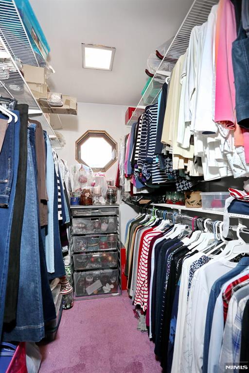 walk in closet with carpet floors