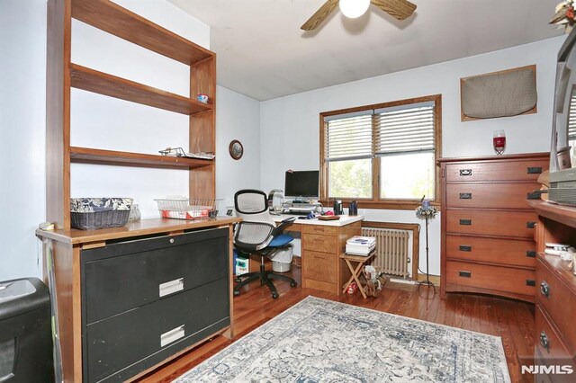 office space with radiator, a ceiling fan, and dark wood-style floors
