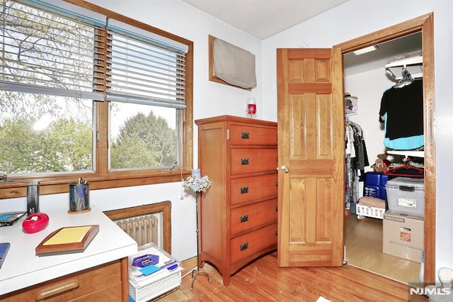 bathroom featuring vaulted ceiling, radiator heating unit, and wood finished floors
