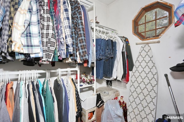 view of spacious closet