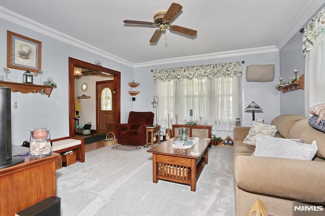 carpeted living room featuring a ceiling fan and ornamental molding