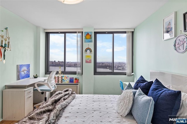 bedroom with multiple windows