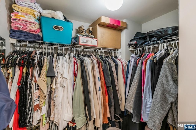 view of walk in closet