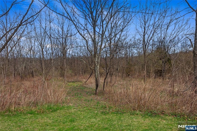 view of landscape featuring a forest view