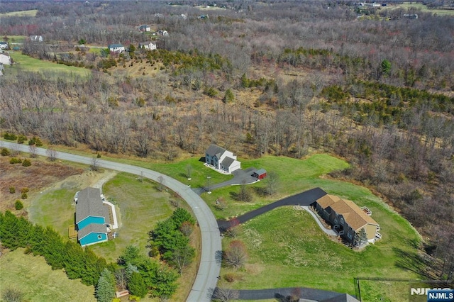 drone / aerial view