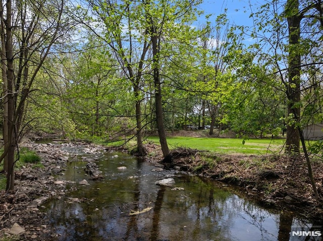 view of water feature