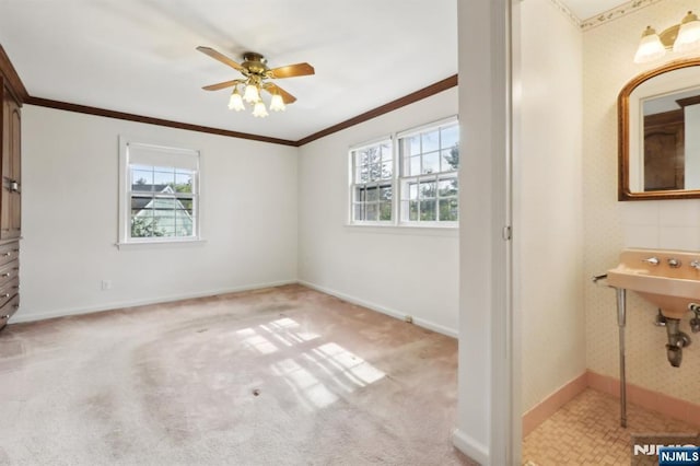 unfurnished bedroom featuring carpet, baseboards, multiple windows, and ornamental molding