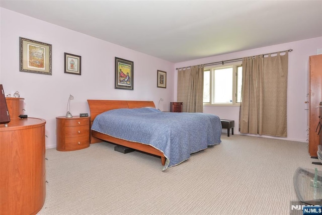 9 Peach Hill Ct, Ramsey, NJ 07446 - view of carpeted bedroom