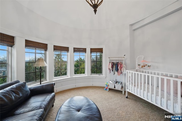 carpeted bedroom featuring multiple windows
