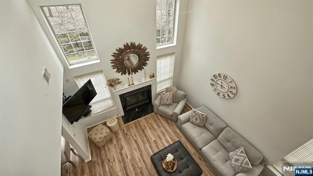 living area with a fireplace, a high ceiling, and wood finished floors