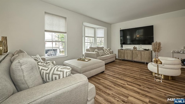 living room featuring dark wood-type flooring