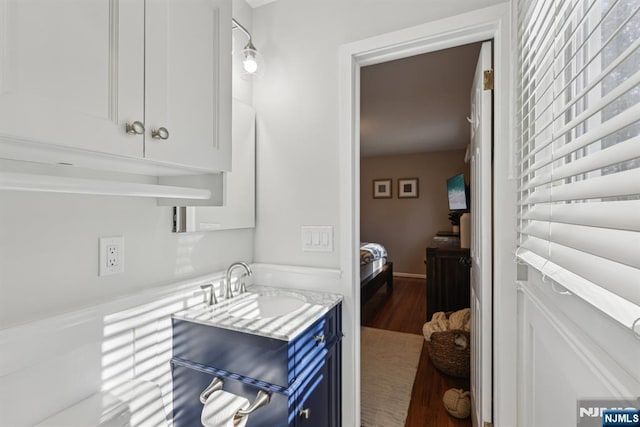 bathroom with wood finished floors and a sink