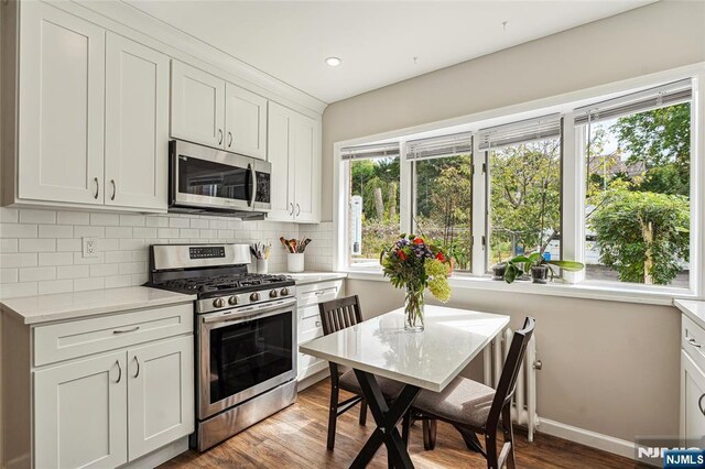 kitchen with backsplash, light countertops, appliances with stainless steel finishes, and a healthy amount of sunlight
