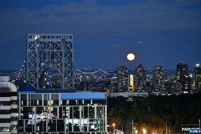 2150 Center Ave Unit 19A, Fort Lee, NJ 07024 - view of city