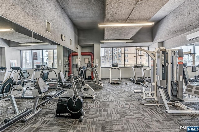 2150 Center Ave Unit 19A, Fort Lee, NJ 07024 - exercise room featuring carpet flooring