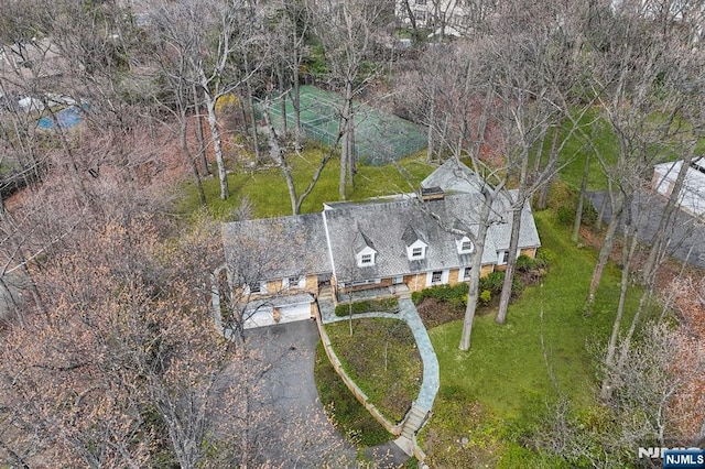 bird's eye view