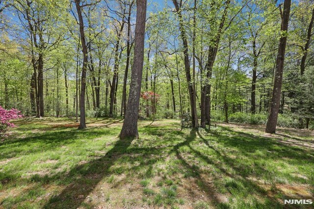 view of yard with a wooded view