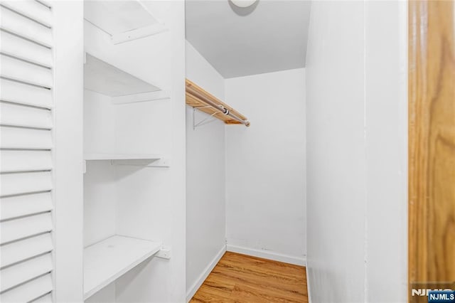 walk in closet featuring wood finished floors