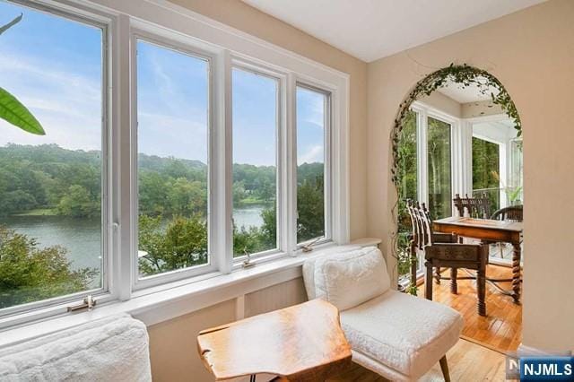 sunroom with a healthy amount of sunlight and a water view