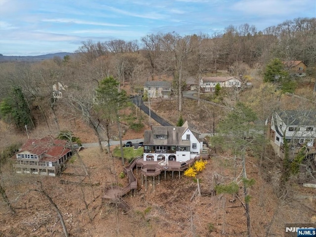drone / aerial view