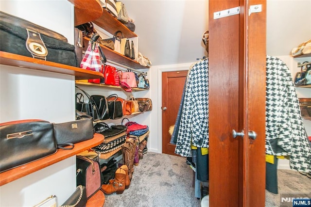 walk in closet featuring carpet