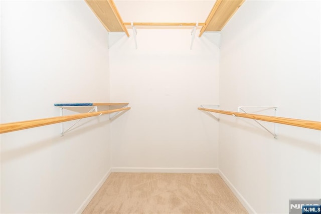 spacious closet featuring light carpet