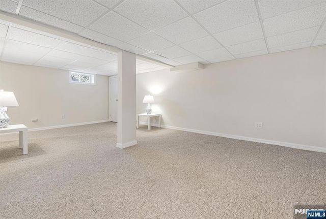 basement featuring a paneled ceiling, carpet flooring, and baseboards