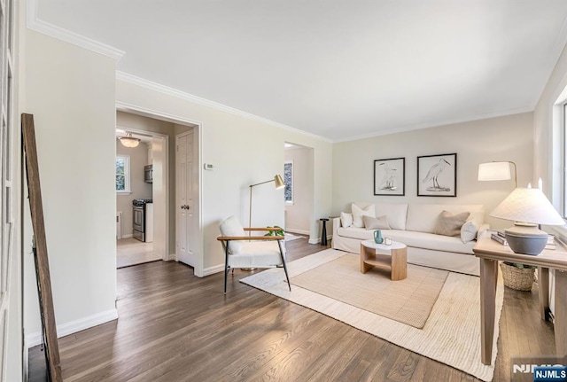 living room with baseboards, wood finished floors, and crown molding