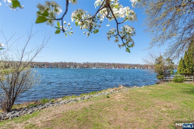 property view of water