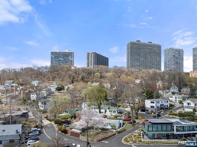 4 Colony Rd, Edgewater, NJ 07020 - property's view of city
