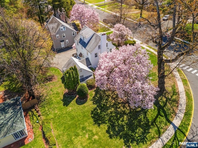drone / aerial view