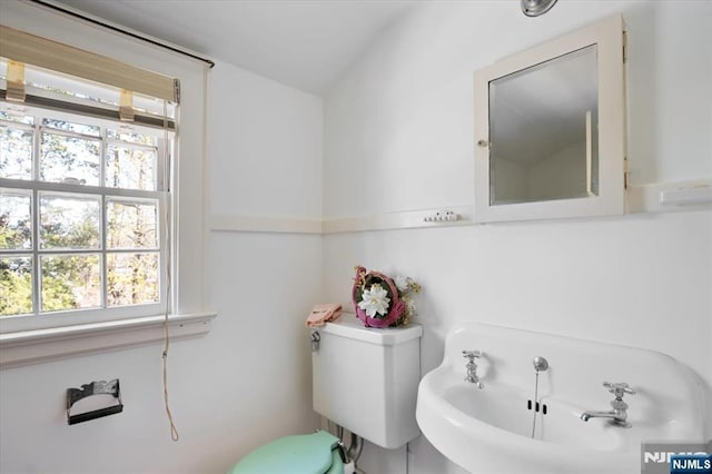 bathroom with toilet and a healthy amount of sunlight