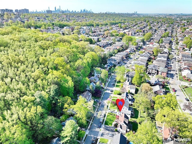 bird's eye view