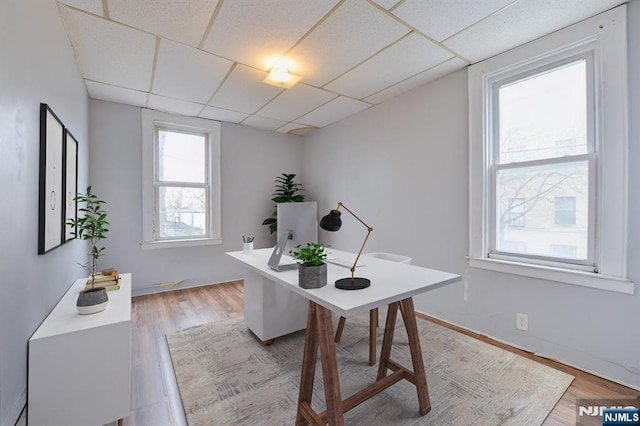 office with a drop ceiling and light wood-type flooring