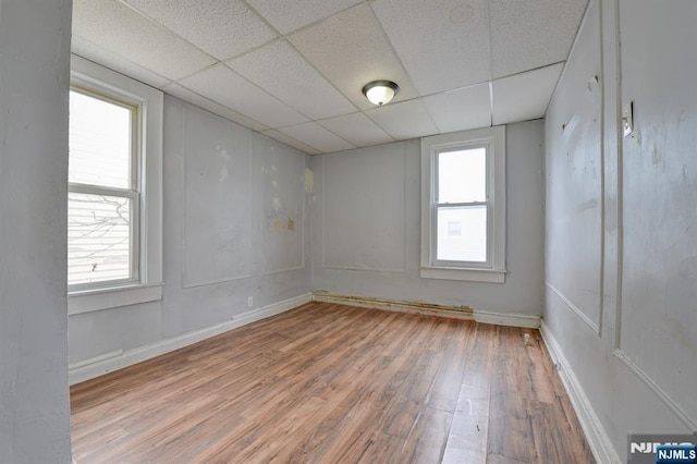 unfurnished room with a wealth of natural light, light wood finished floors, baseboards, and a drop ceiling