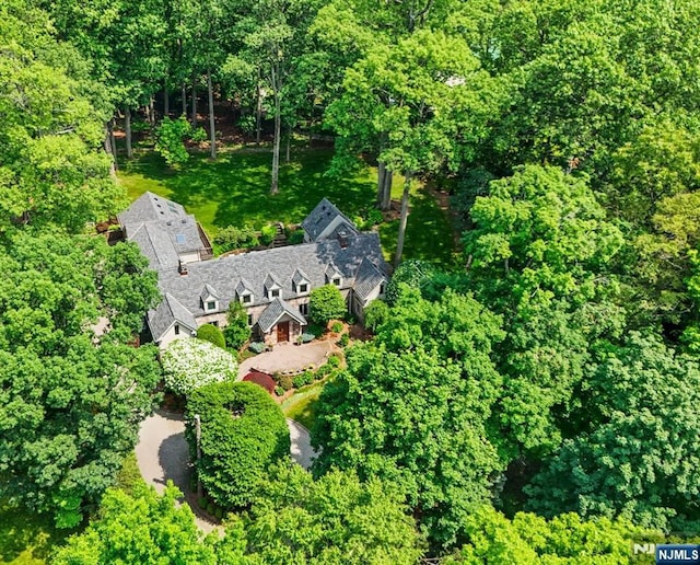67 Forest Rd, Tenafly, NJ 07670 - view from above of property