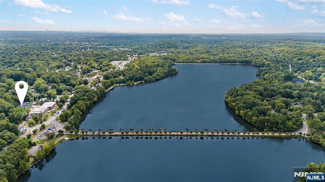 drone / aerial view with a forest view and a water view