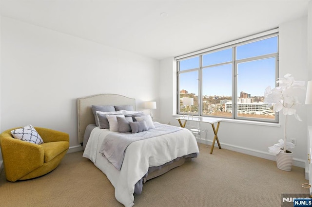 8100 River Rd Unit 1013, North Bergen, NJ 07047 - bedroom featuring light carpet and baseboards