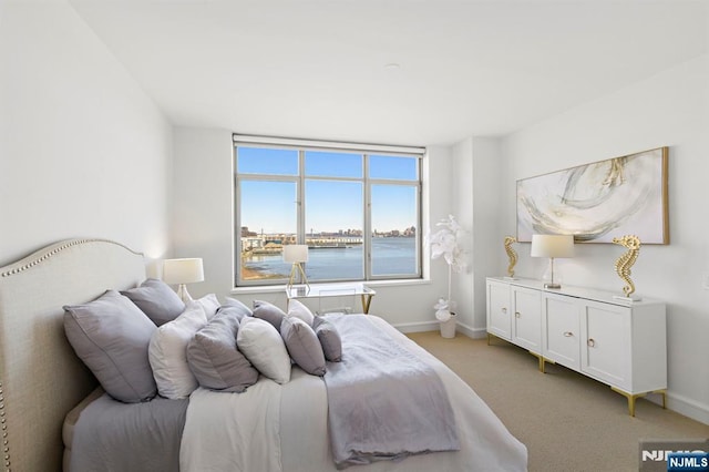 8100 River Rd Unit 1013, North Bergen, NJ 07047 - bedroom featuring baseboards and light carpet