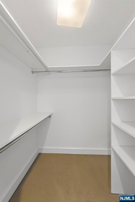 8100 River Rd Unit 1013, North Bergen, NJ 07047 - walk in closet with carpet flooring