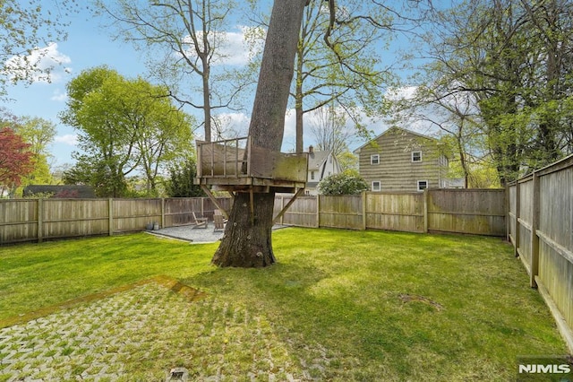 view of yard featuring a patio and a fenced backyard